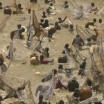 Argungu 2026: Fishing Festival or Political Storm?