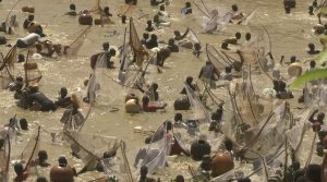 Argungu 2026: Fishing Festival or Political Storm?