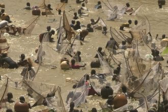 Argungu 2026: Fishing Festival or Political Storm?