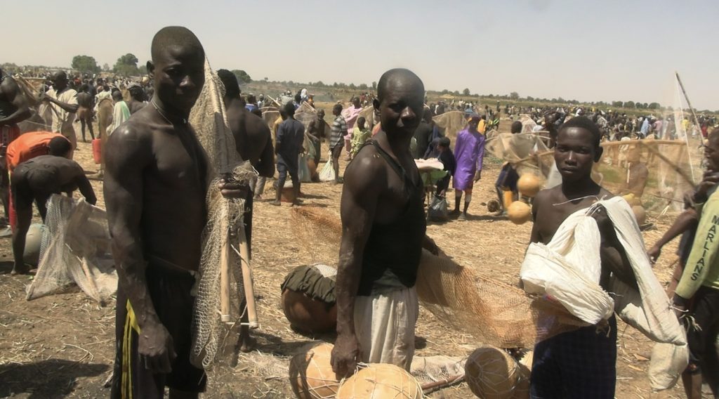 Argungu 2026: Fishing Festival or Political Storm?