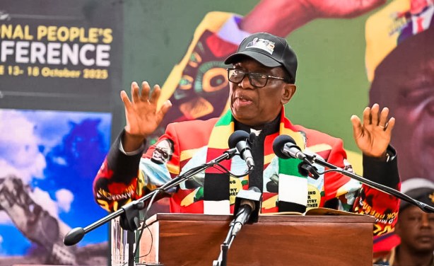 Zimbabwe Constitutional Hearings Marred by Intimidation, Report Finds