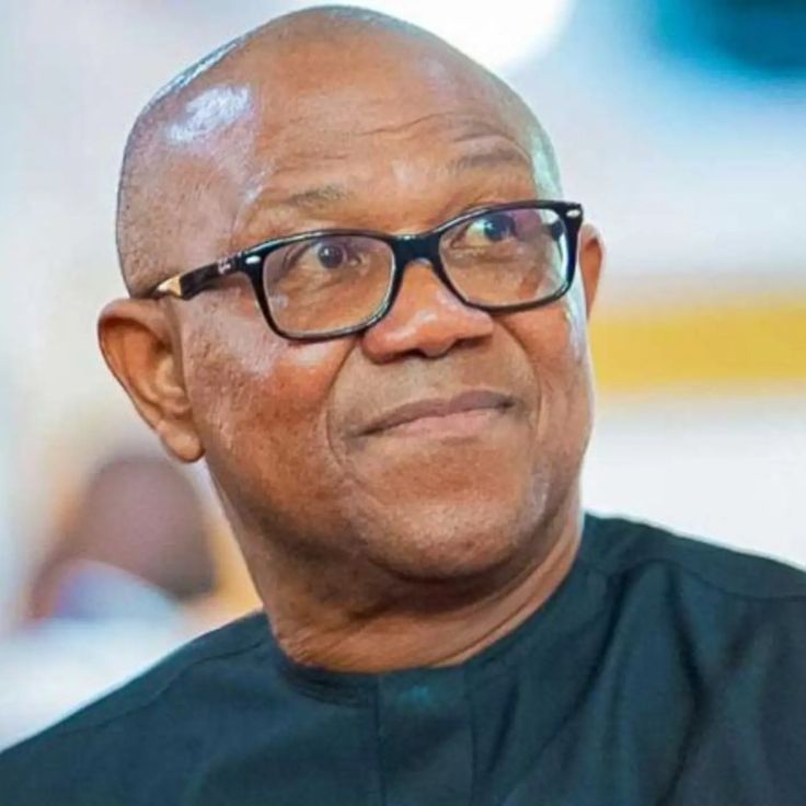 Peter Obi Emerges Unopposed as NDC Closes Presidential Nomination Sales