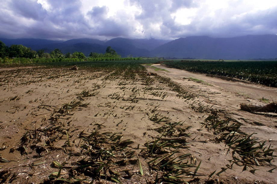El Nino Threatens Energy Stability, Food Security and Economic Growth in Asia