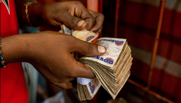 Naira Records Slight Decline at Official Foreign Exchange Market
