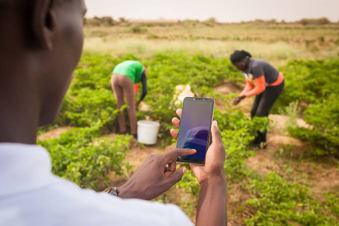 Stakeholders Seek Digital Push to Unlock Nigeria’s Agricultural Potential