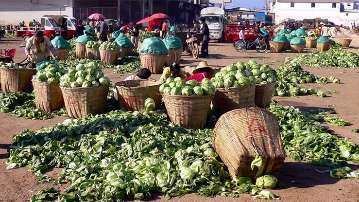 Kenya turns to bioeconomy to cut food imports, post-harvest losses