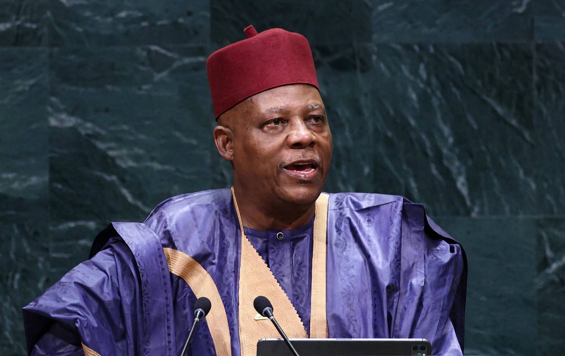 Nigeria Renews Push for Bigger African Role in UN Power Structure