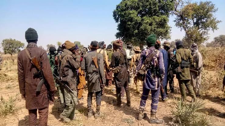 More Than 80 Abducted in Weekend Attacks in Northern Nigeria