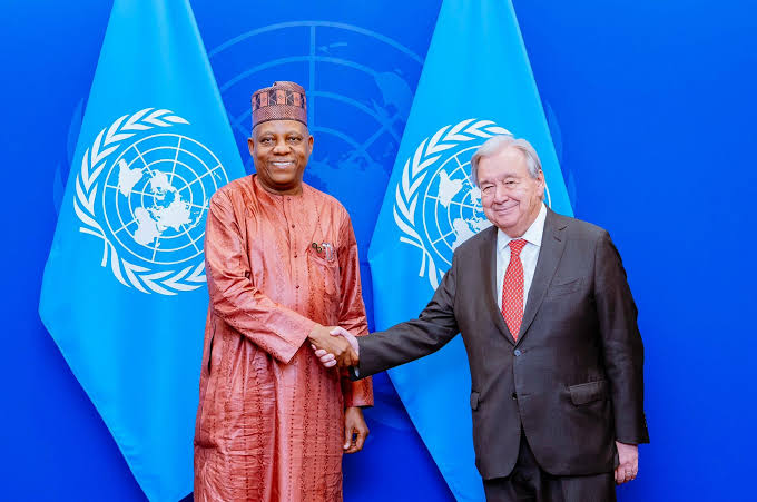 Nigeria Pushes for African Influence in UN Security Decisions