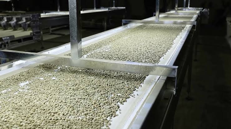 Ethiopia Turns Coffee Waste Into Fruity Drink