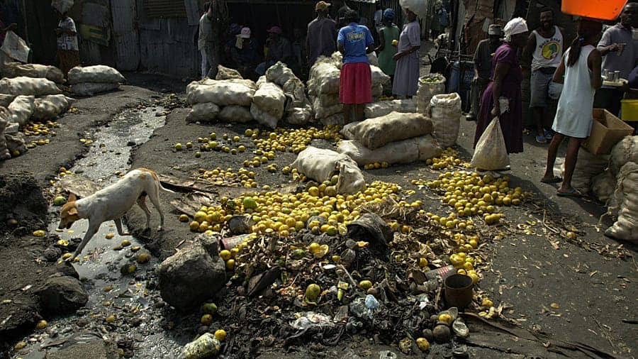 Nearly 6 Million Haitians Face Severe Hunger as Gang Violence and El Niño Worsen Crisis